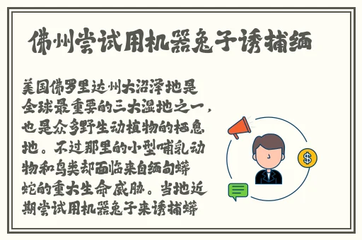 好色先生apk